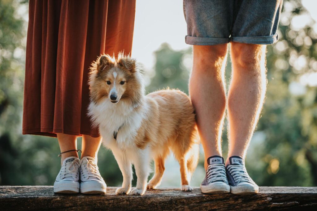 Szőlősi Zsombor | Jegyes és Esküvő Fotózás Debrecen, vidéki esküvő